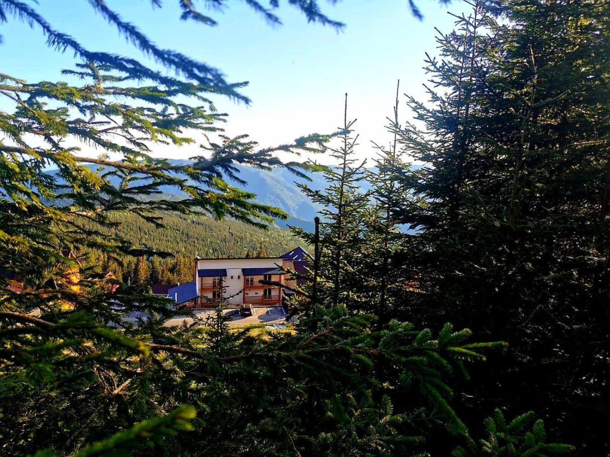 Complex Veverita Rânca Exteriér fotografie