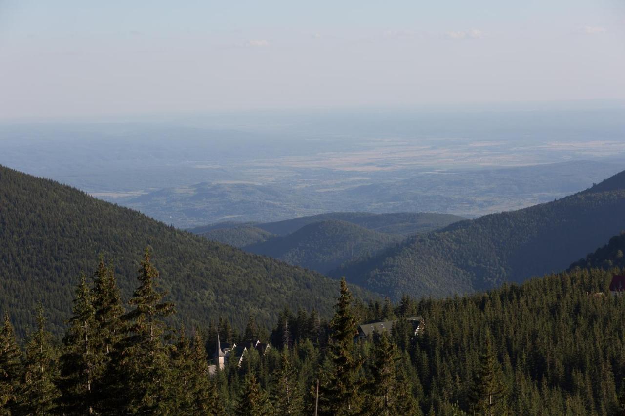 Complex Veverita Rânca Exteriér fotografie